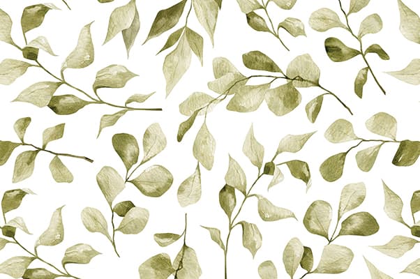 Textura